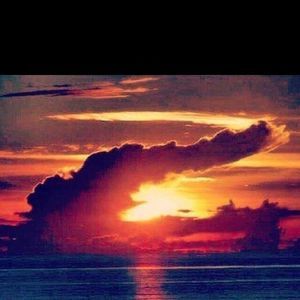 Meet your Posher, Cedrick